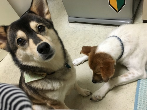 c0266644_18520470.jpeg