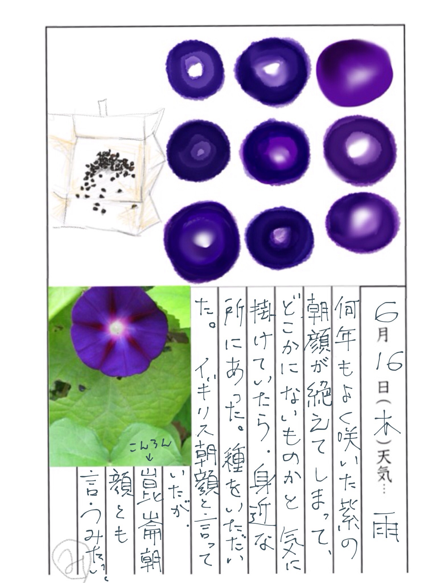 絵日記帳に絵日記を書く_d0101846_05263467.jpg