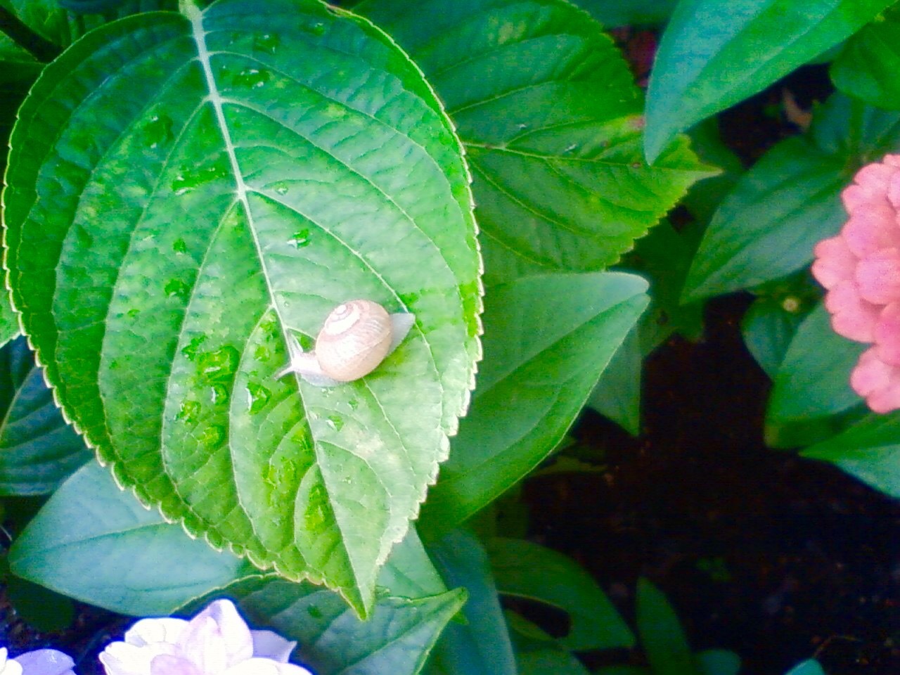 お引っ越し。_d0341450_10212107.jpeg
