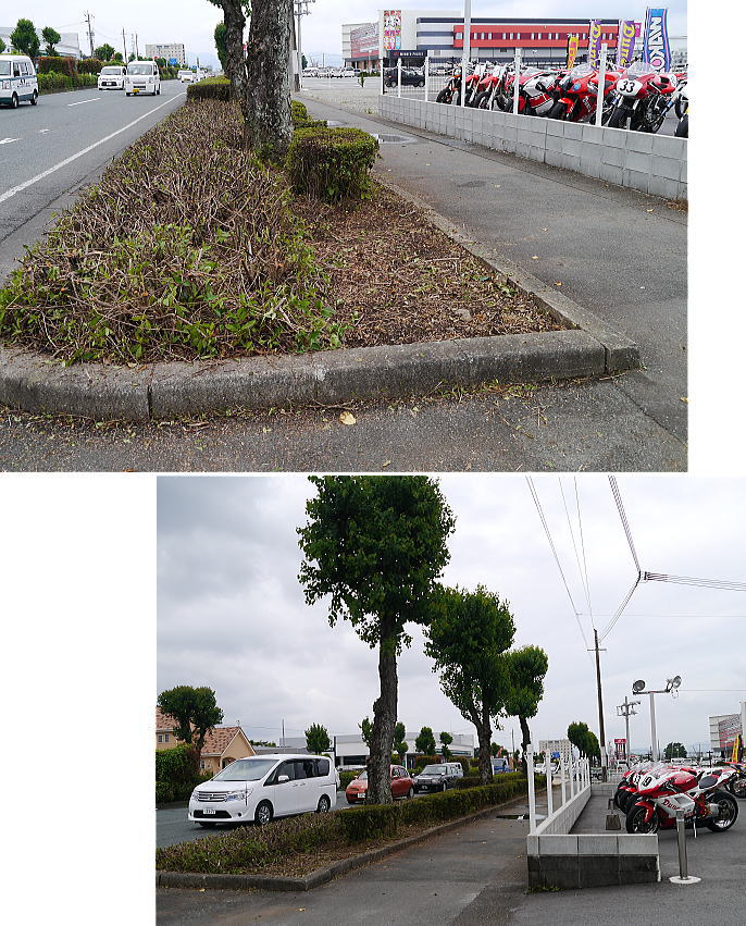 おかげ様ですっきり!!_f0178858_1059383.jpg