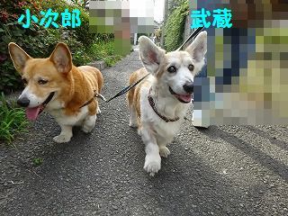 もう暫く耐えるんだよ_d0353074_17265648.jpg