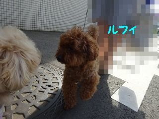 もう暫く耐えるんだよ_d0353074_17271091.jpg