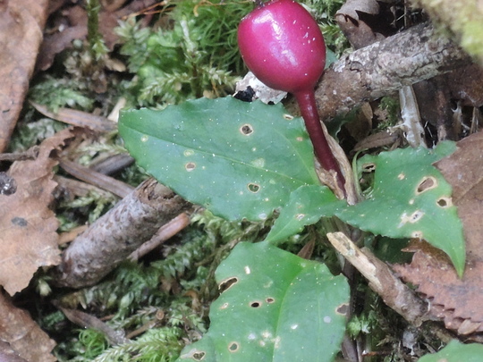 e0232277_118332.jpg