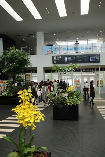 d0181492_13321309.jpg