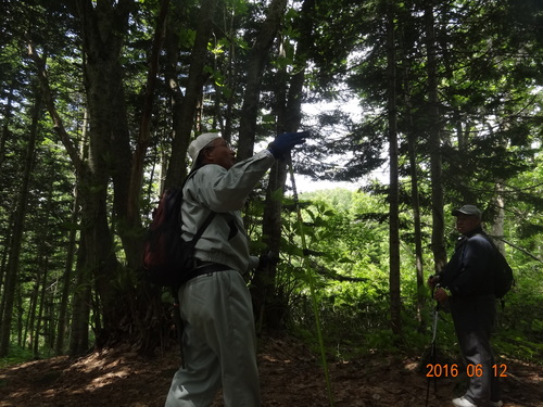 森を歩く。道民の森2016初夏。_d0198793_14283061.jpg