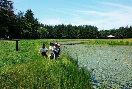 三瓶姫逃池の自然観察とカキツバタ保護活動…_d0265607_1504555.jpg