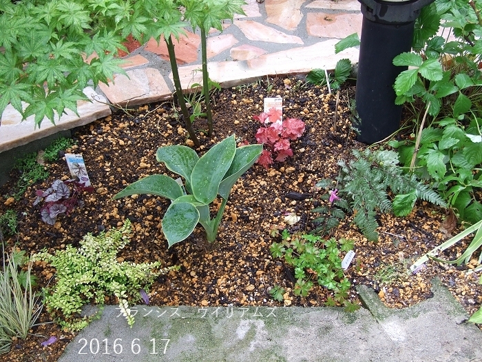 e0138807_07421651.jpg