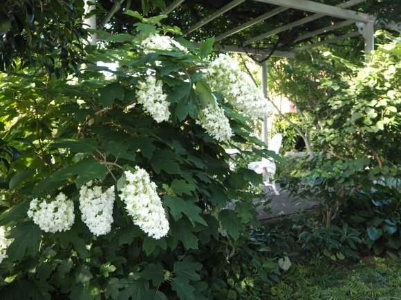 b0307008_08232603.jpg