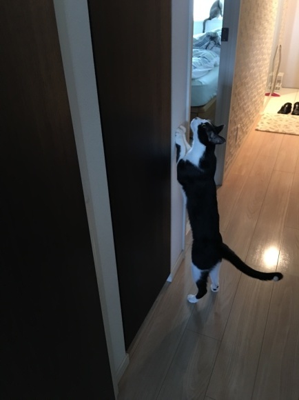 c0109109_15355946.jpeg