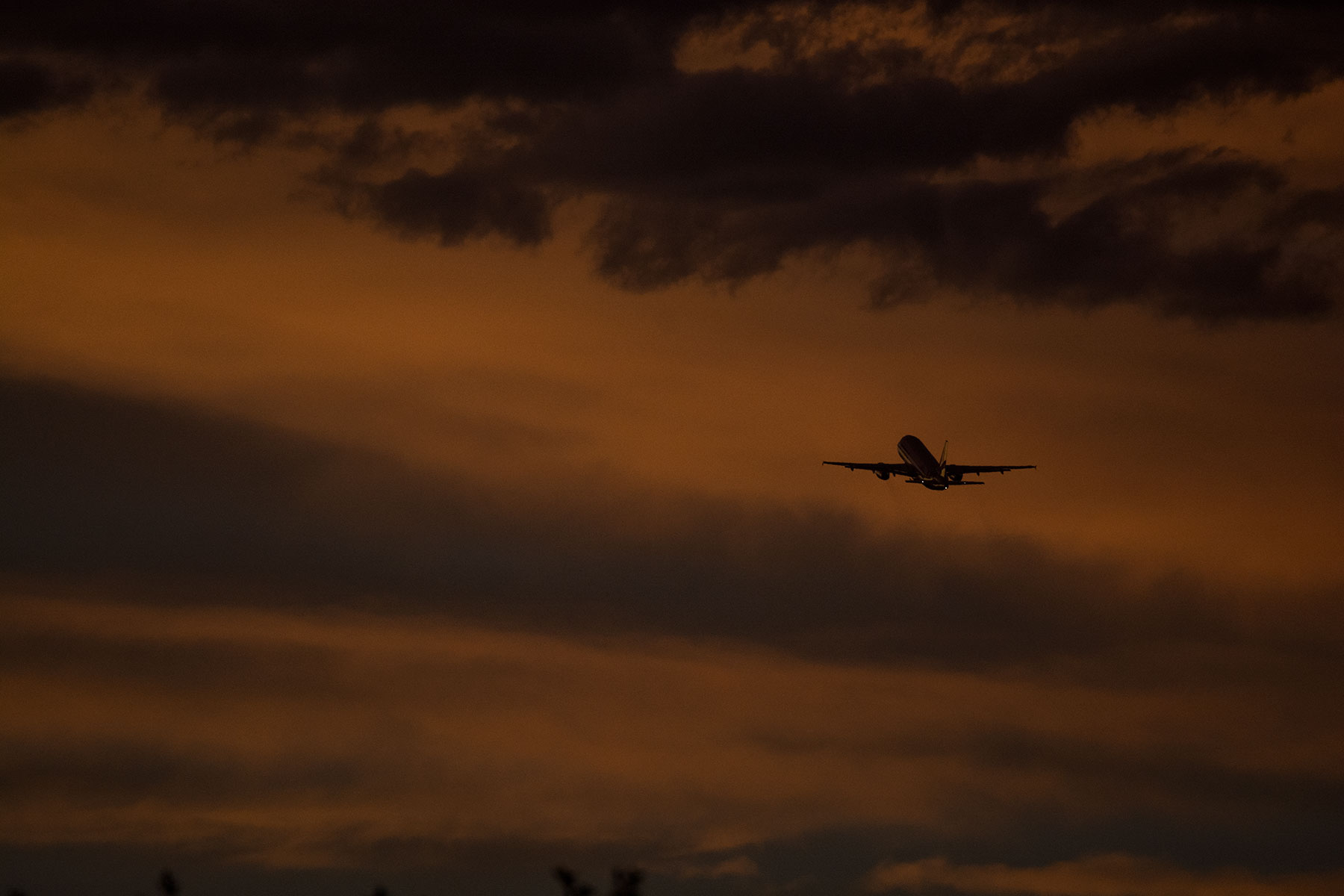 AIRBUS A320 / JA02JJ_d0226909_2311523.jpg