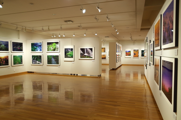 東川町文化ギャラリーで開催中の写真展_b0187229_13121669.jpg