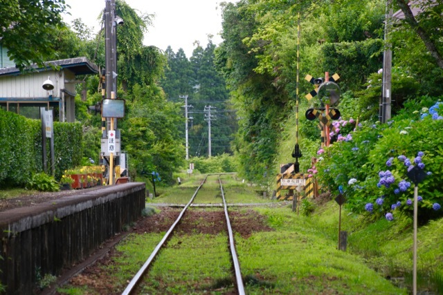 【いすみ鉄道】いすみ＆小湊鉄道 part 1_f0348831_09372482.jpg