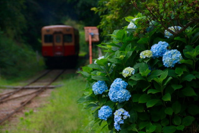【上総中野駅/月崎駅】いすみ&小湊鉄道 part 2_f0348831_11452403.jpg