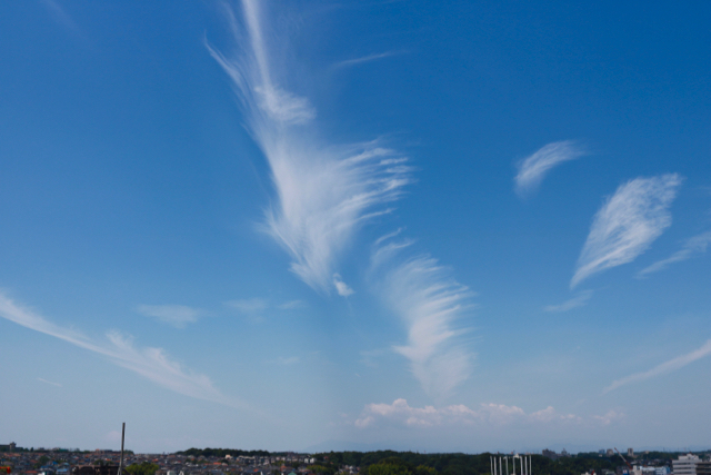 f0348831_20411645.jpg