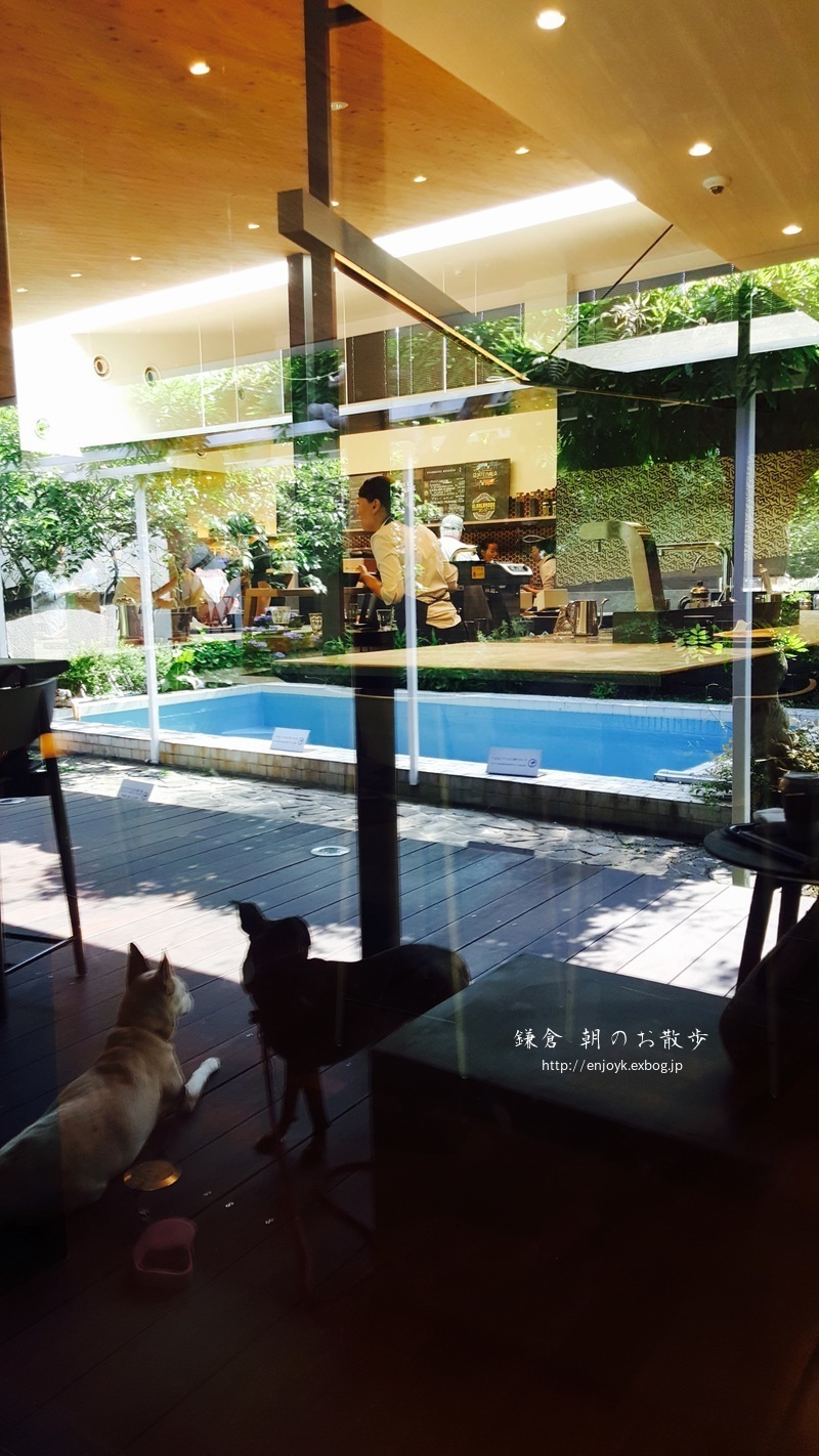 d0269832_14082418.jpeg