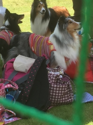 b0369239_12033197.jpeg