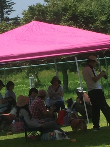 b0369239_12035983.jpeg