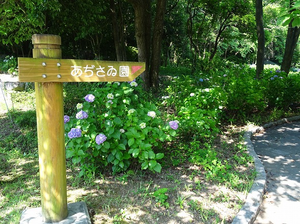 b0299042_2145816.jpg