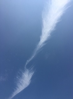 「Amane」のスピ的おはなし会 でした~!_a0340643_22202381.jpg