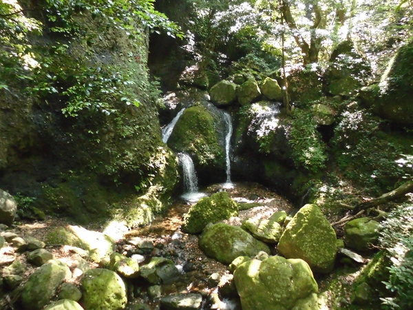 梅雨の晴れ間は黒髪山系へ クロカミランも咲いてたよ_a0206345_183843.jpg