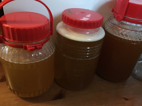 今年も梅の酵素作り~_c0331145_2375826.jpg