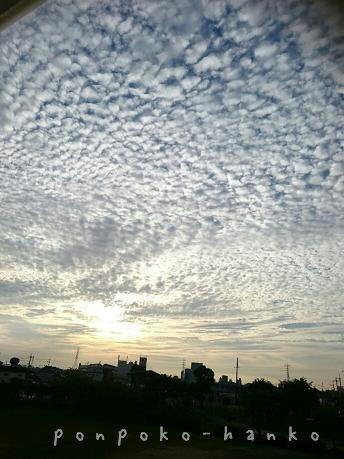 f0128146_22131834.jpg