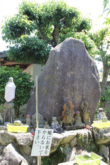 篠栗四国八十八箇所霊場 　第５１番札所　【下町薬師堂】_c0011649_031391.jpg