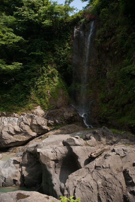 d0342652_11445218.jpg