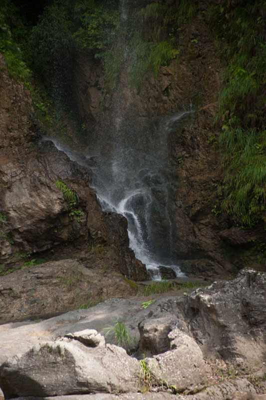 d0342652_1145108.jpg