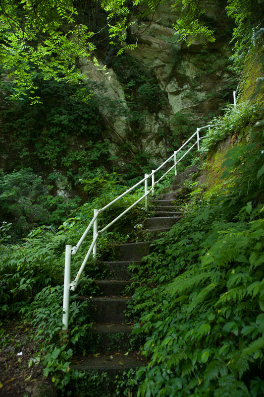 d0342652_1148134.jpg