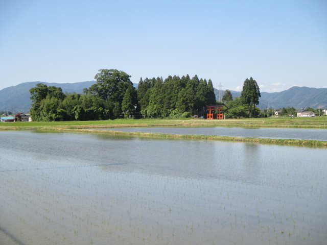 津野神社（高島市今津町北仰）_c0182455_08333700.jpg