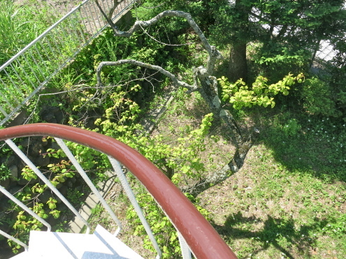 自分のいっぱいが、相手のいっぱいとは限らない。。_c0260460_16042027.jpg