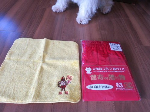 赤いちゃんちゃんこの代用品?_c0260460_16292231.jpg