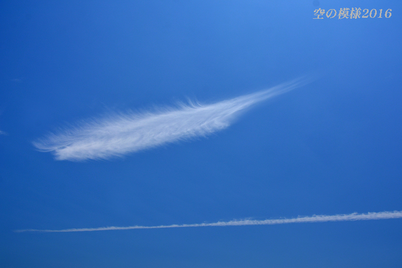 彩雲が‥『空の模様』_d0251161_14582057.jpg