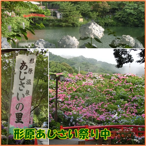西浦魚市場は空振り 形原のあじさいの里へ 小次郎じじ物語