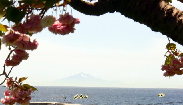 f0166871_773011.jpg