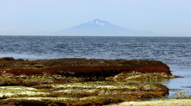 f0166871_783681.jpg