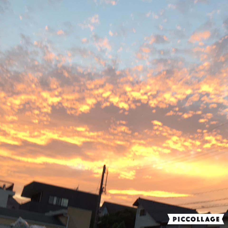 f0138278_20161685.jpg