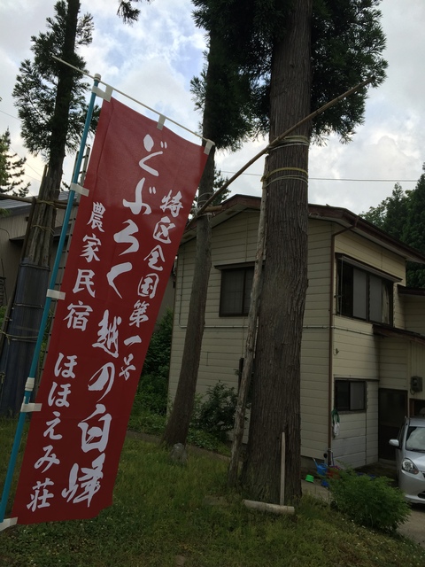 民宿のお料理とホタルの光_d0182179_12184488.jpg