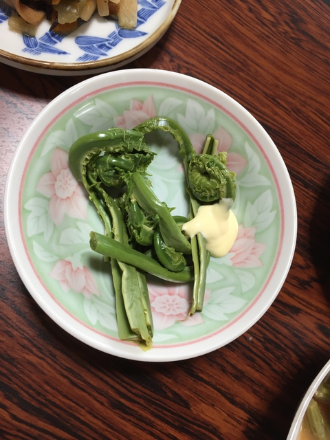 民宿のお料理とホタルの光_d0182179_1953140.jpg
