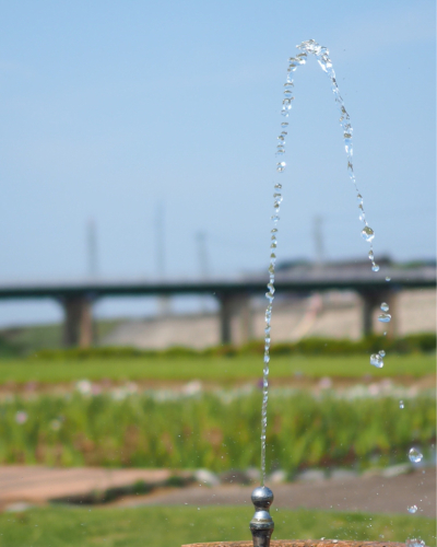 小矢部市花菖蒲園_f0357183_18113513.jpg