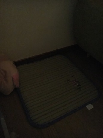 e0160787_23351047.jpeg