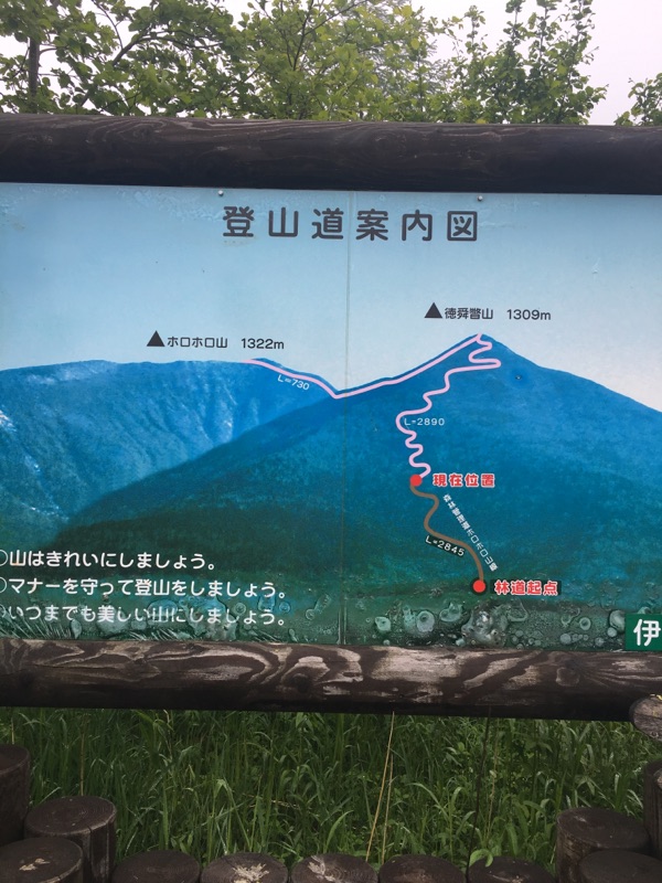 土砂降りのトレイルランニングin徳舜瞥山～ホロホロ山