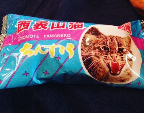 c0359294_20350344.jpeg