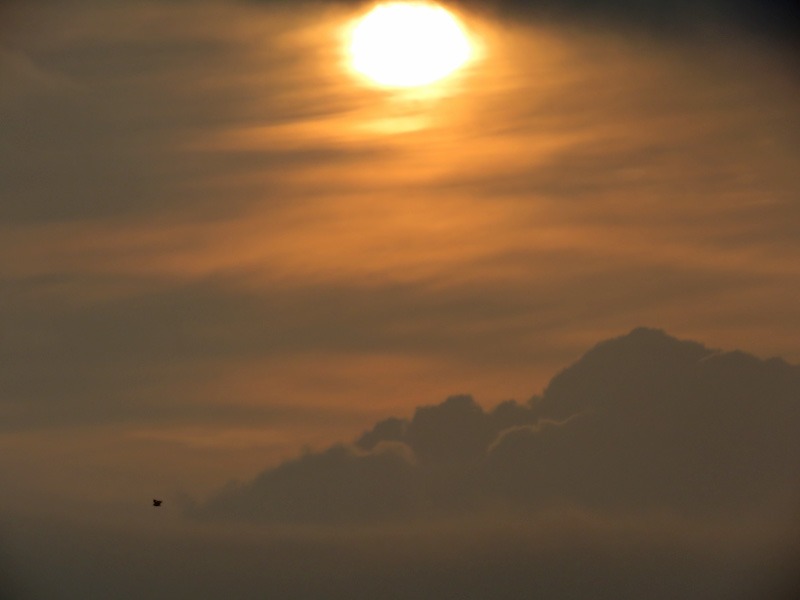 c0049299_22562466.jpg