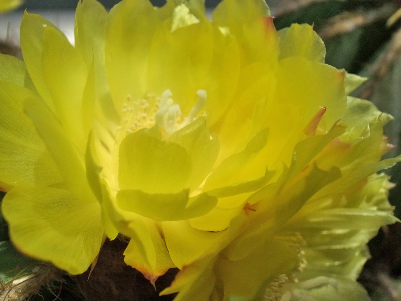 c0049299_23163961.jpg
