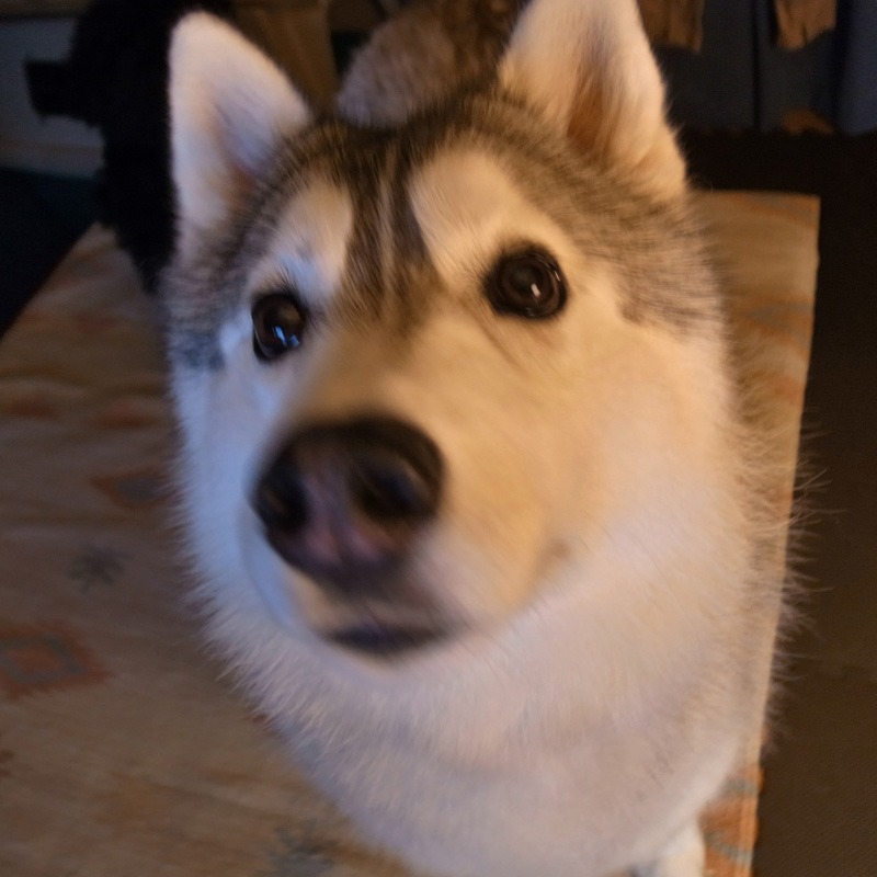 c0049299_23219100.jpg