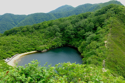 初夏の夜叉ヶ池①緑の森を歩く_e0304001_1820118.jpg