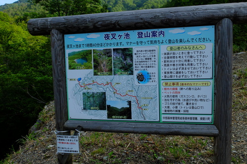 e0304001_18223832.jpg
