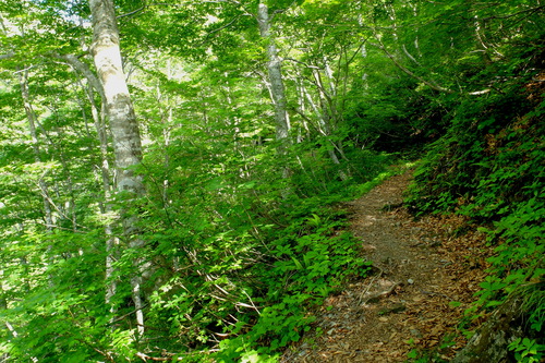 e0304001_1843224.jpg